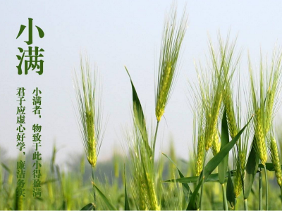 人生小滿，即是圓滿|睿寂行